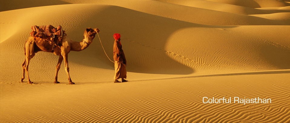 Colorful Rajasthan