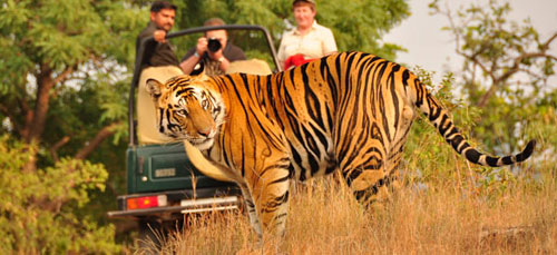 tour to india Kerala